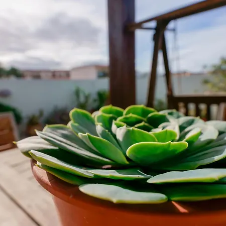 La Terrazza דירה